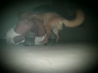 my dog fuck me 2 